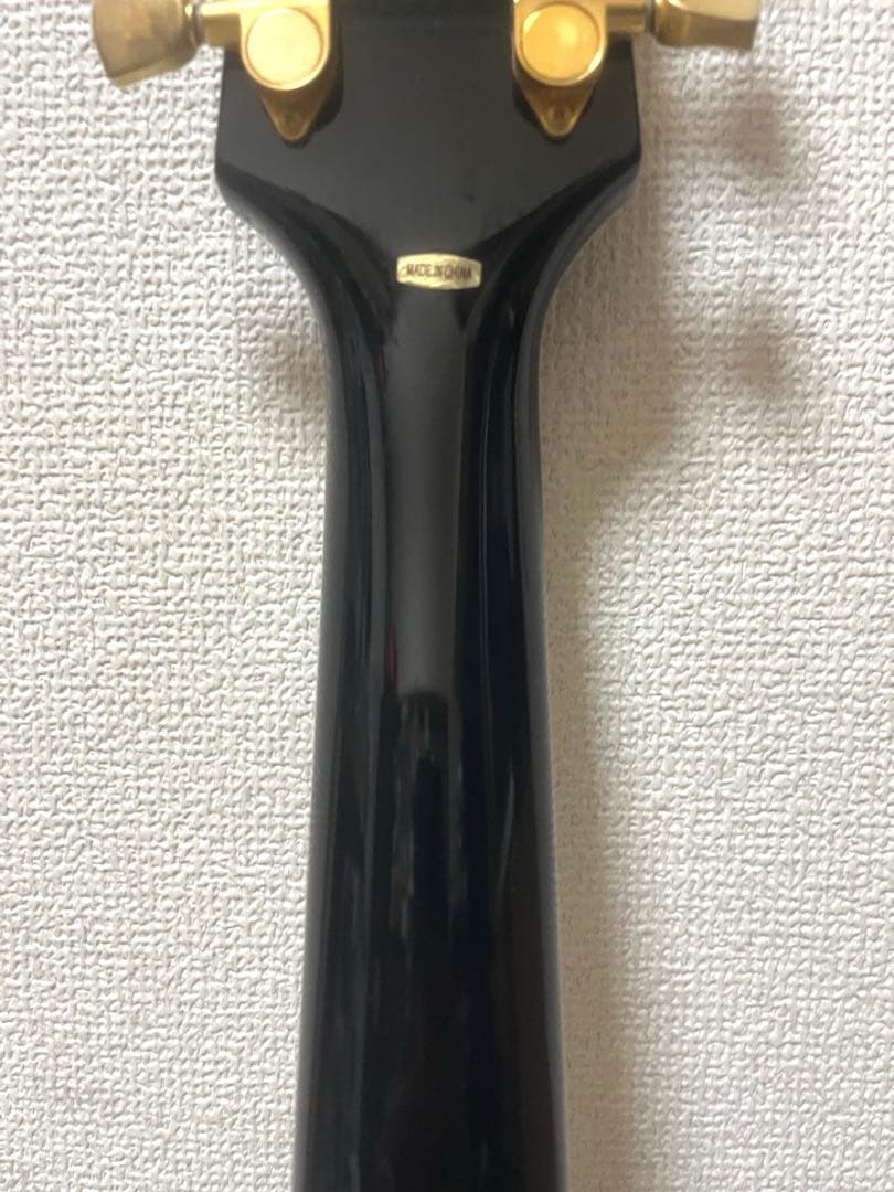 BUSKER'S バスカーズ レスポールカスタム BLC-300