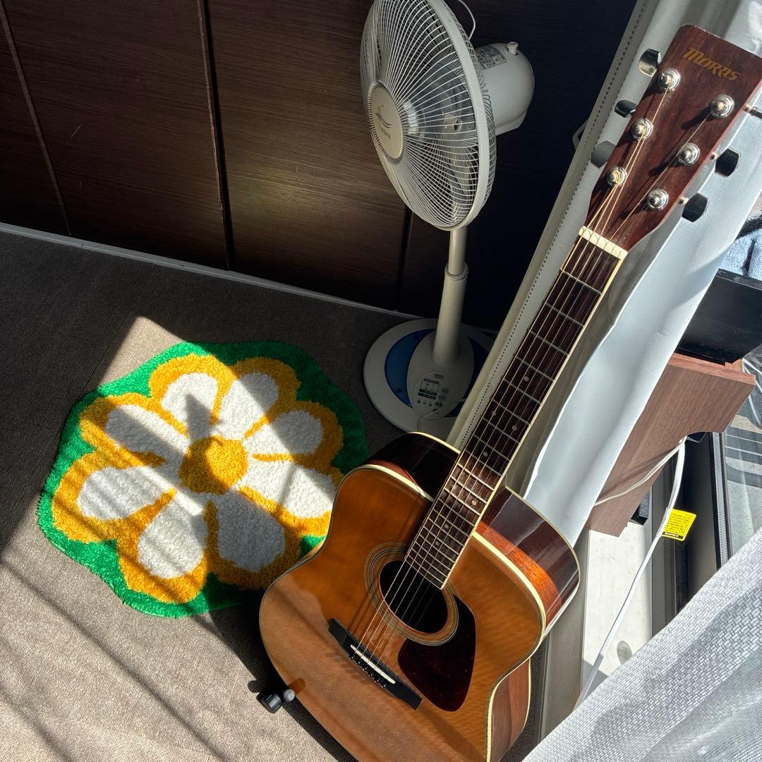 【美品】Morris MD-251N アコースティックギター