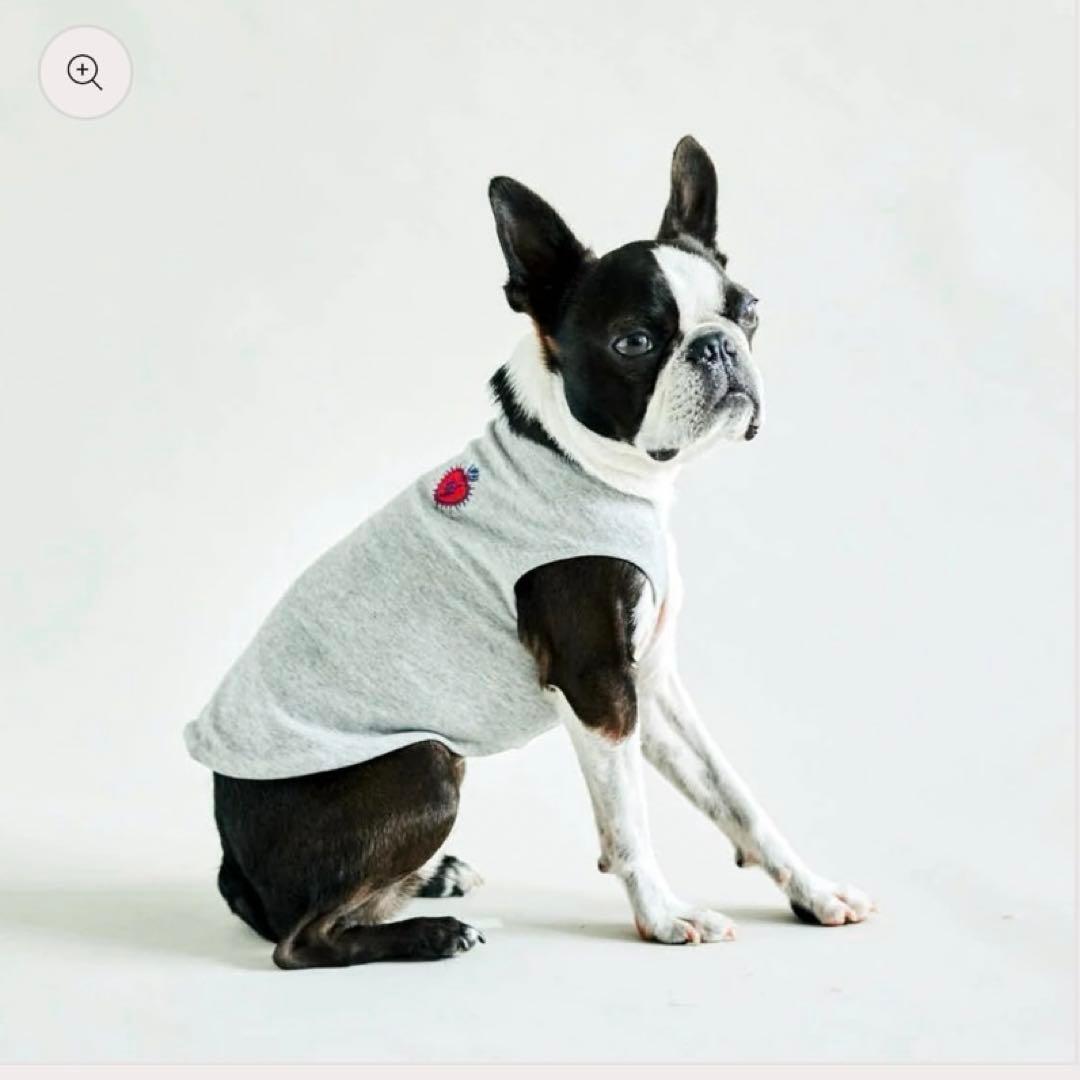 dytem Shade HEATHER GRAYドッグウェア（XL）