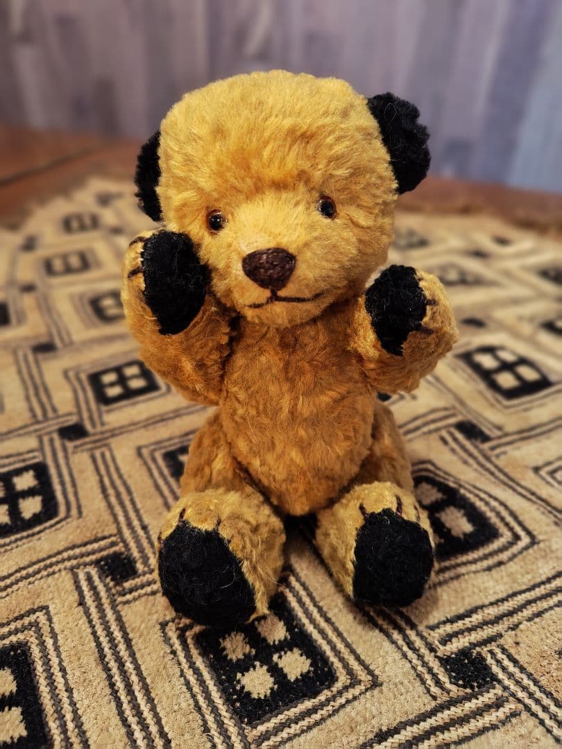 スーティー 1950年代