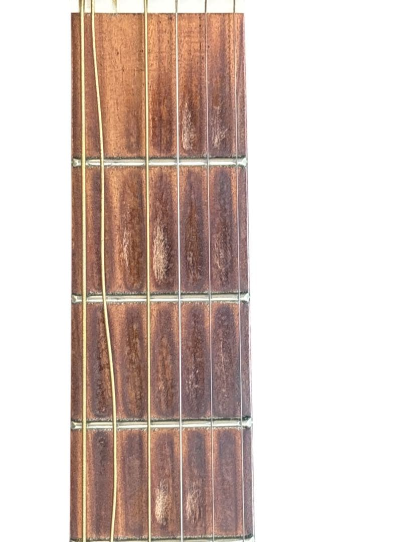 Martin & Co. DXM Dreadnought アコースティックギター