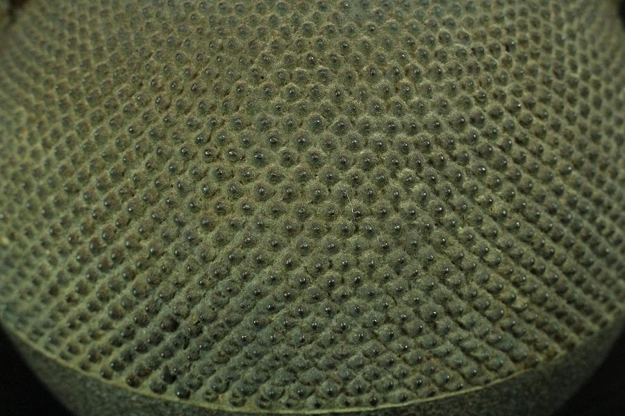 霰肌 寶尽 銀象嵌 持ち手 白玉摘 鉄瓶 祥雲堂 造 共箱(K-A228)