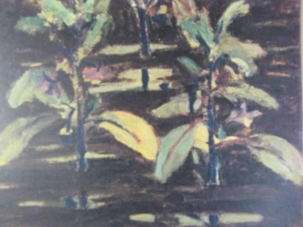 小絲 源太郎/雨後、版上サイン入、限定・高級額装用画より