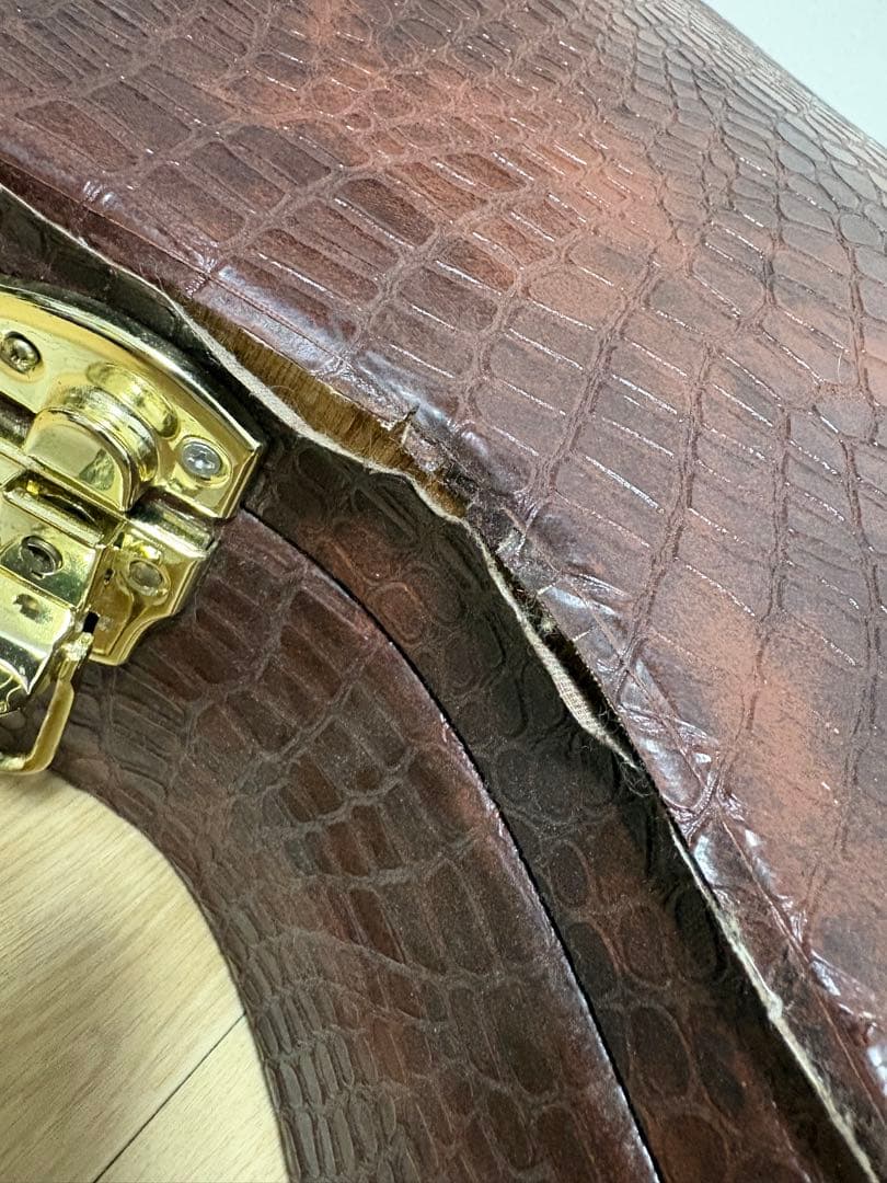 D'Angelico ( ディアンジェリコ ) NYL-100th 野葡萄