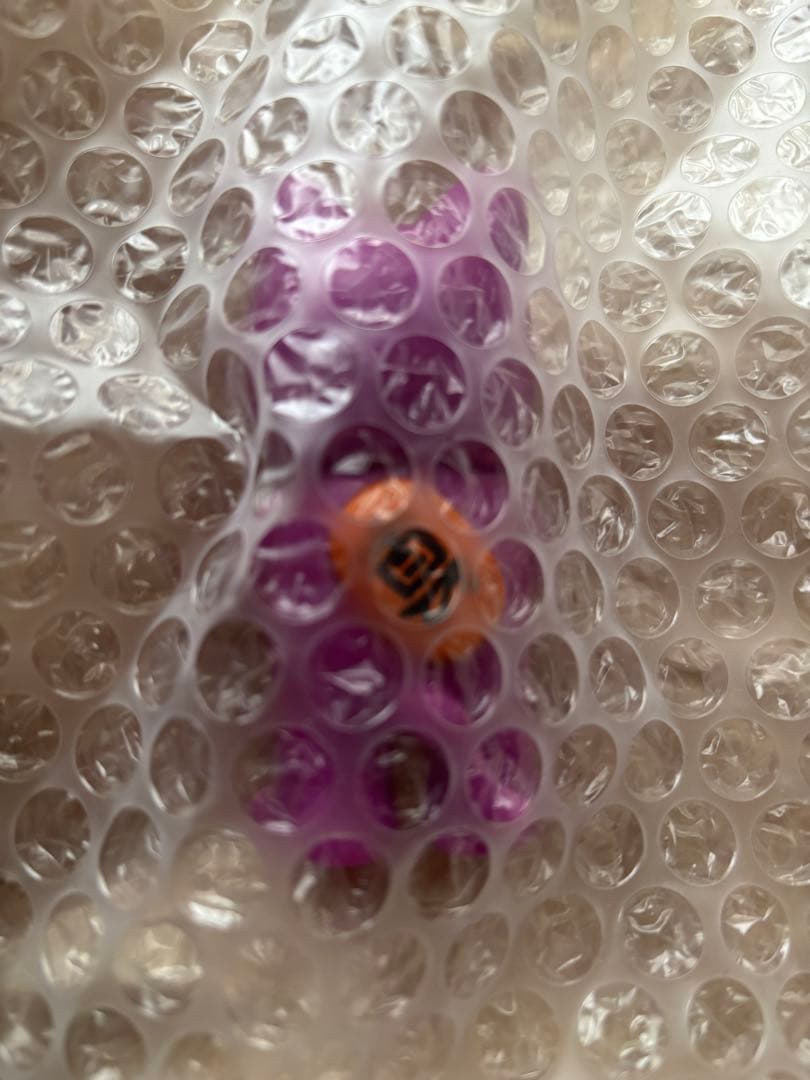 真頭玩具 リアルヘッド フォーチュンキッド