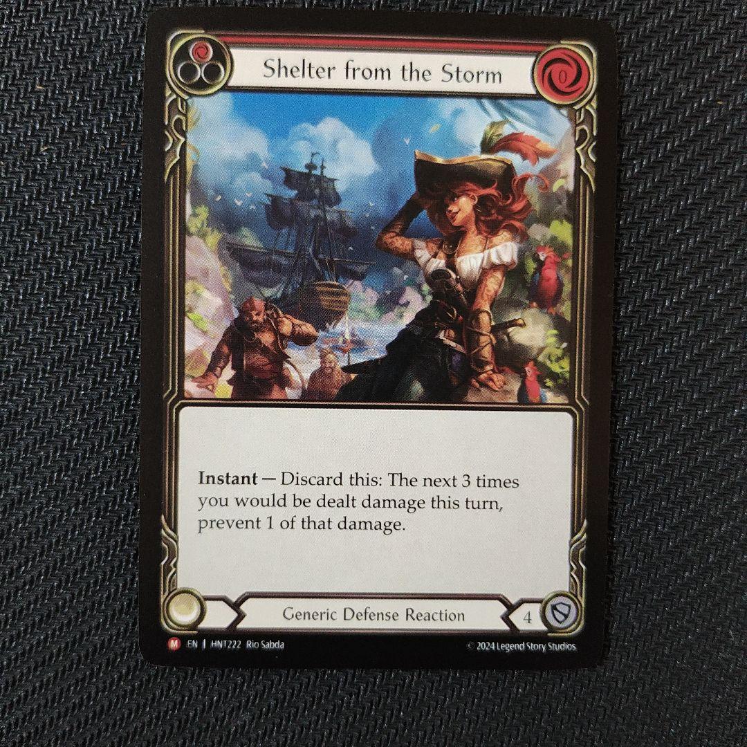 Flesh and BloodShelterfromtheStorm嵐からの避難