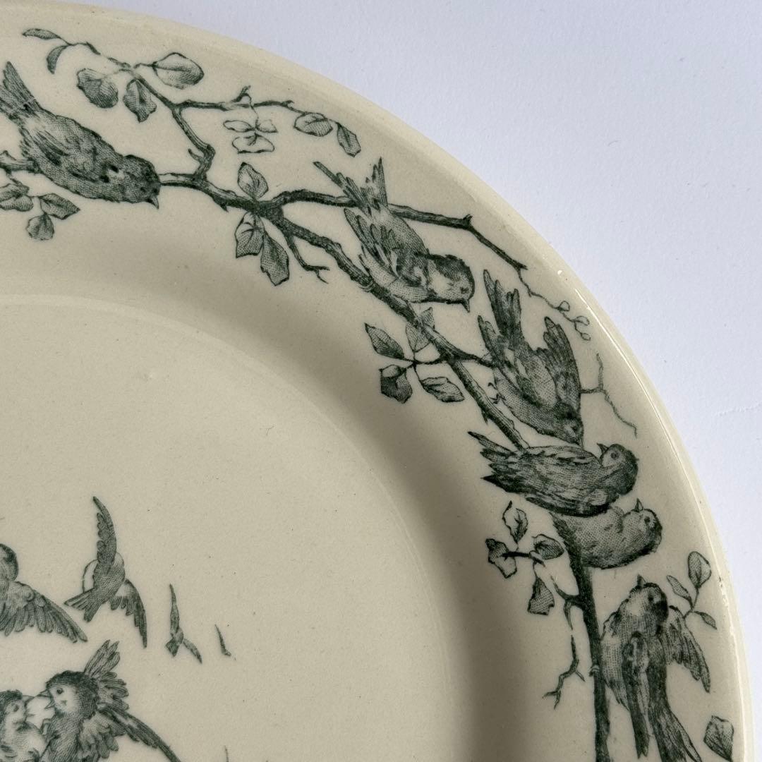 美品　フランスアンティーク　Gien AVIARY ディナープレート