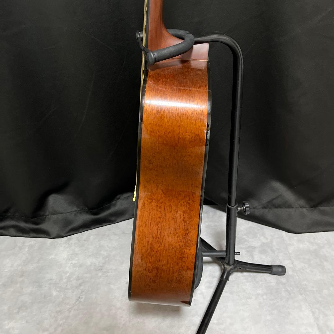 Morris MD~502 モーリス アコースティックギター