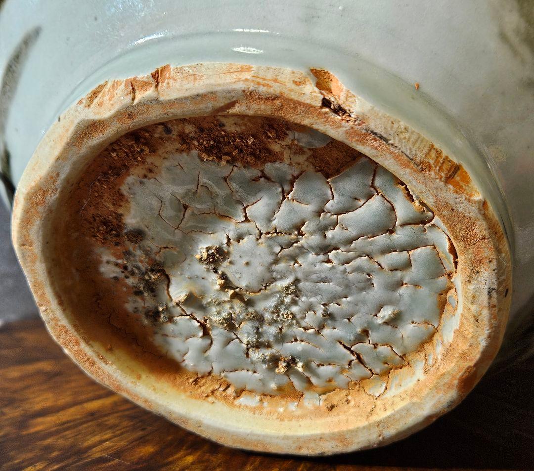 李朝系　鉄砂　鉄釉　蟹に水藻の図　瓶　壺 花入れ　花生け　オブジェ　茶道具茶器