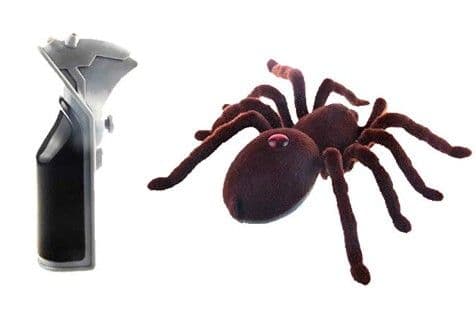 ラジコン タランチュラ& ネズミ