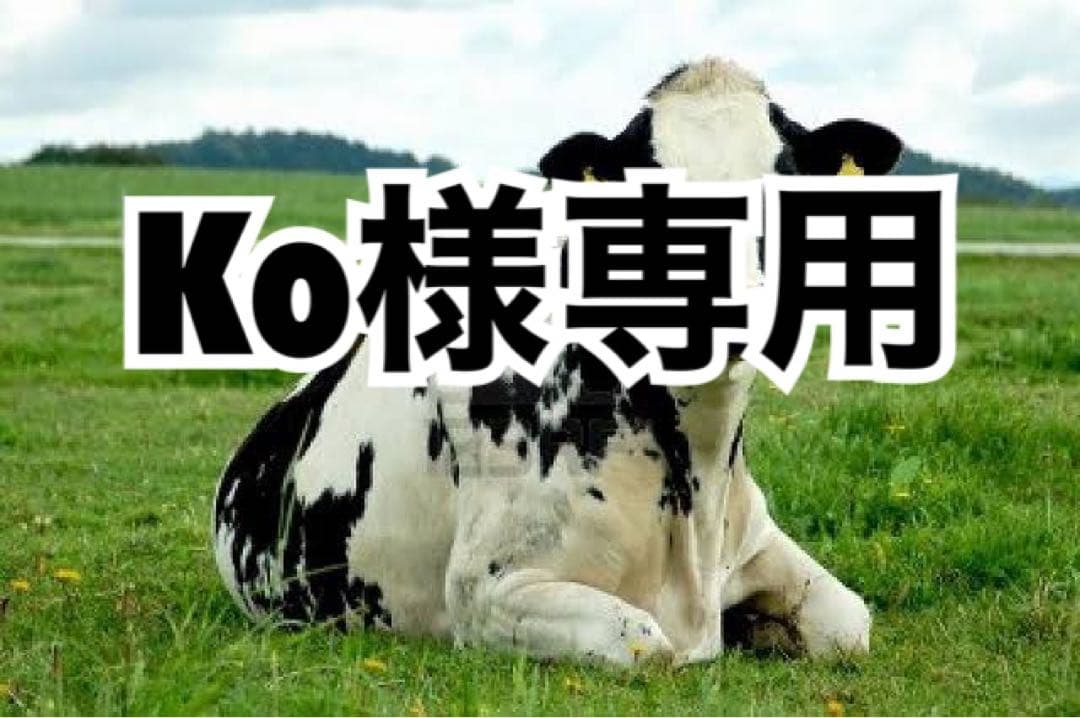 ダークチョコ芯白20、タン濃10、ヘリ革黒10m