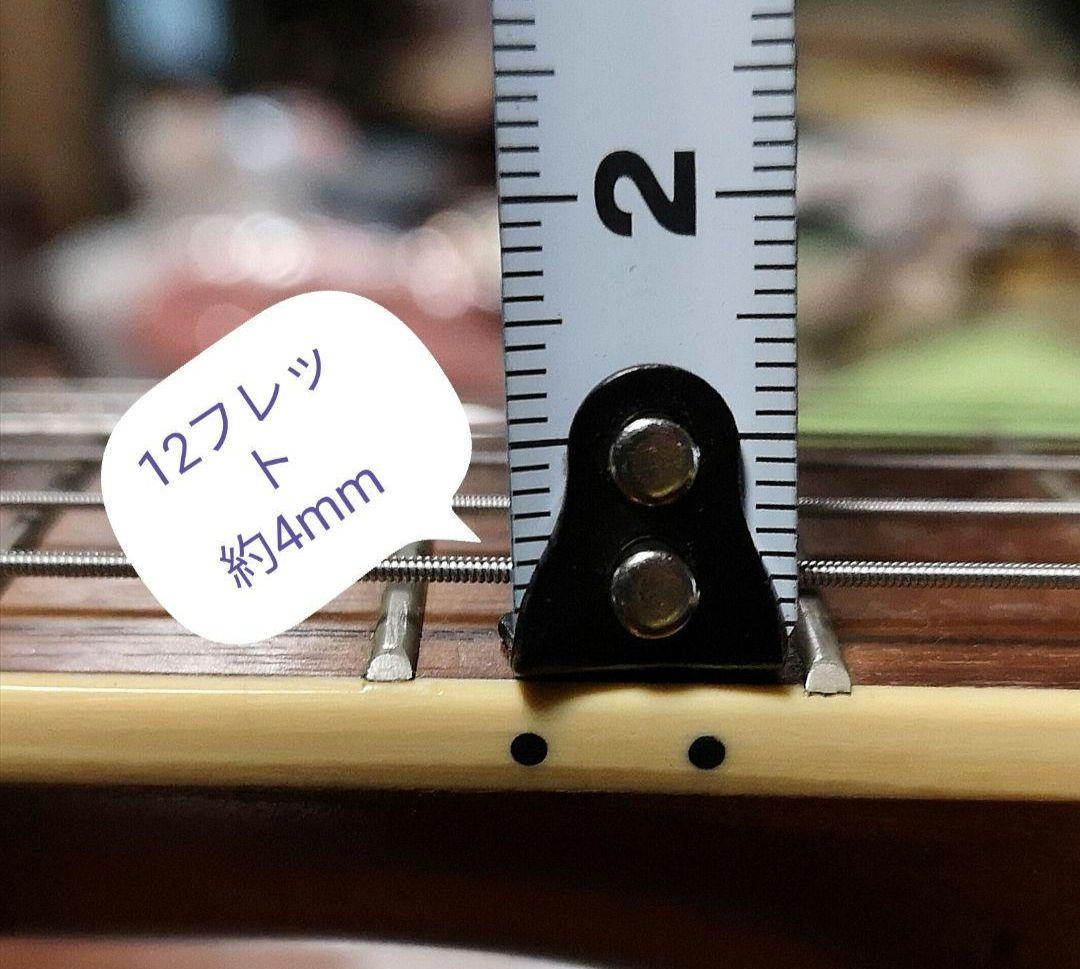 ♦️超レアギター♦️ ProMartin エレアコ EA350BLS ①