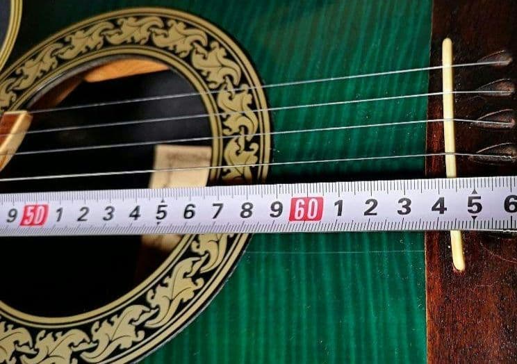 ♦️超レアギター♦️ ProMartin エレアコ EA350BLS ①