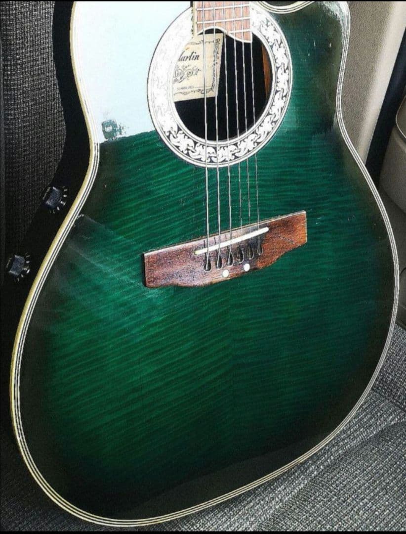 ♦️超レアギター♦️ ProMartin エレアコ EA350BLS ①