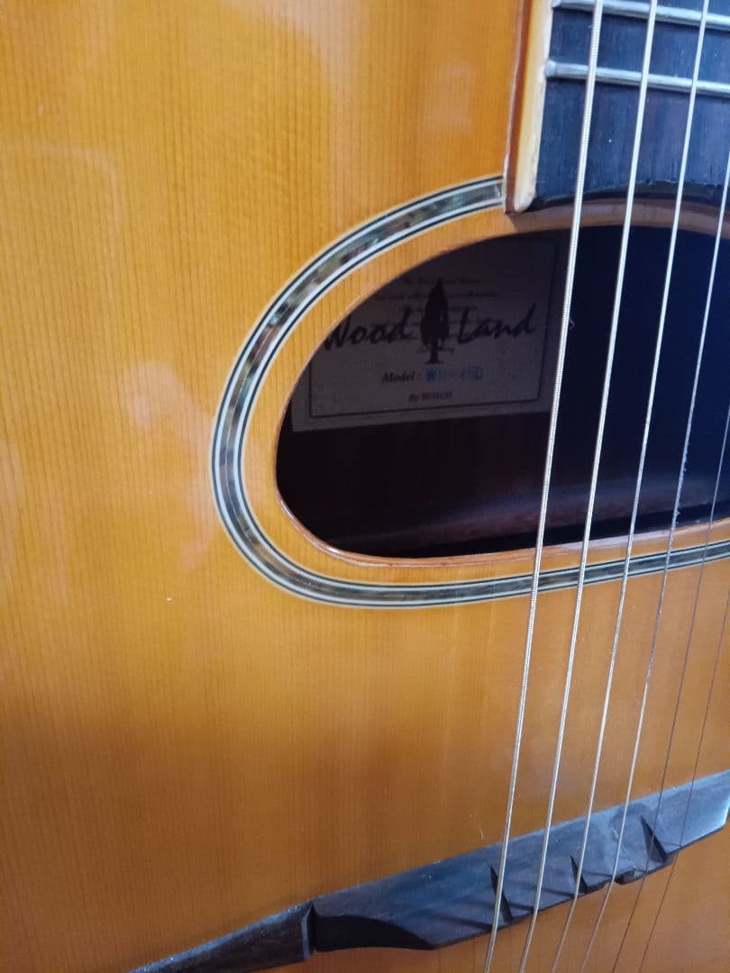 [ マカフェリギター ] フランス　JAZZ