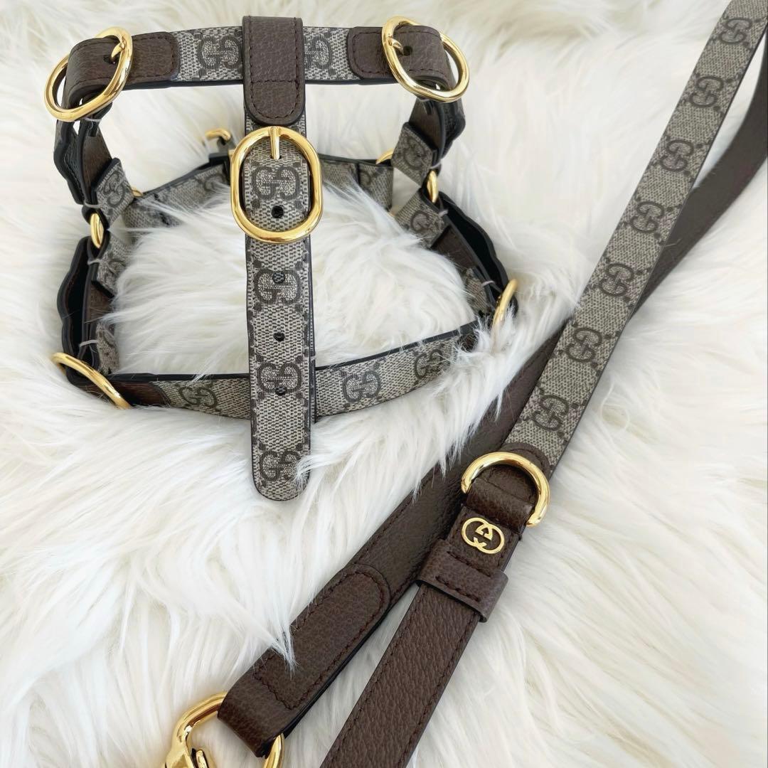 GUCCI ハーネスリード セット