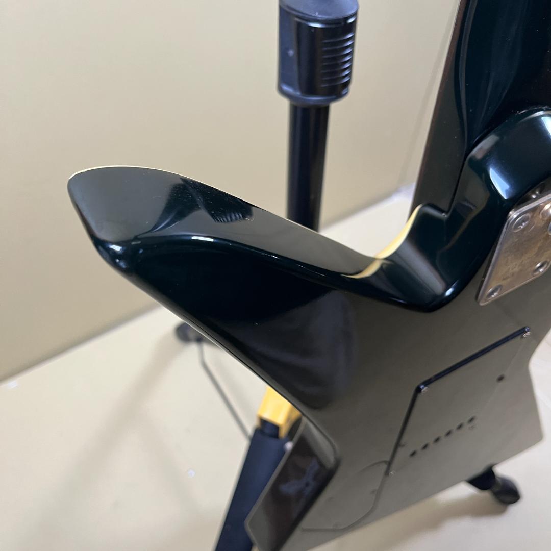 Aria Pro Ⅱ ZZ Custom 1984年製 Black White