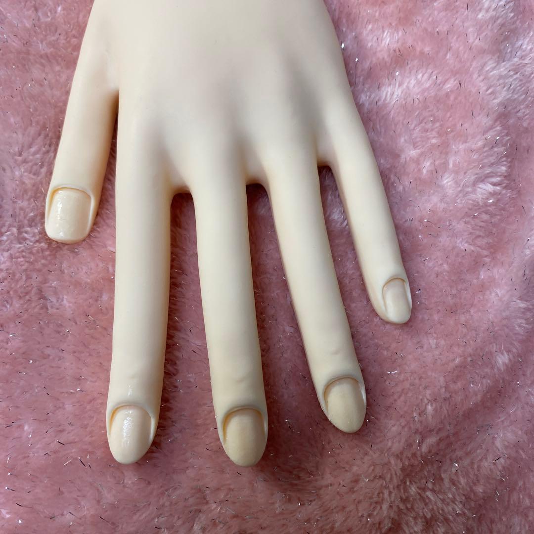 認定モデルハンド