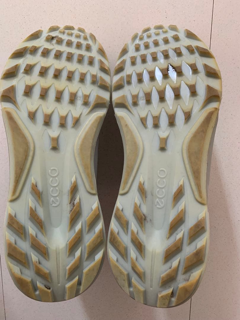 Gore-TexゴルフシューズECCO Golf Biom C4 Boa Men