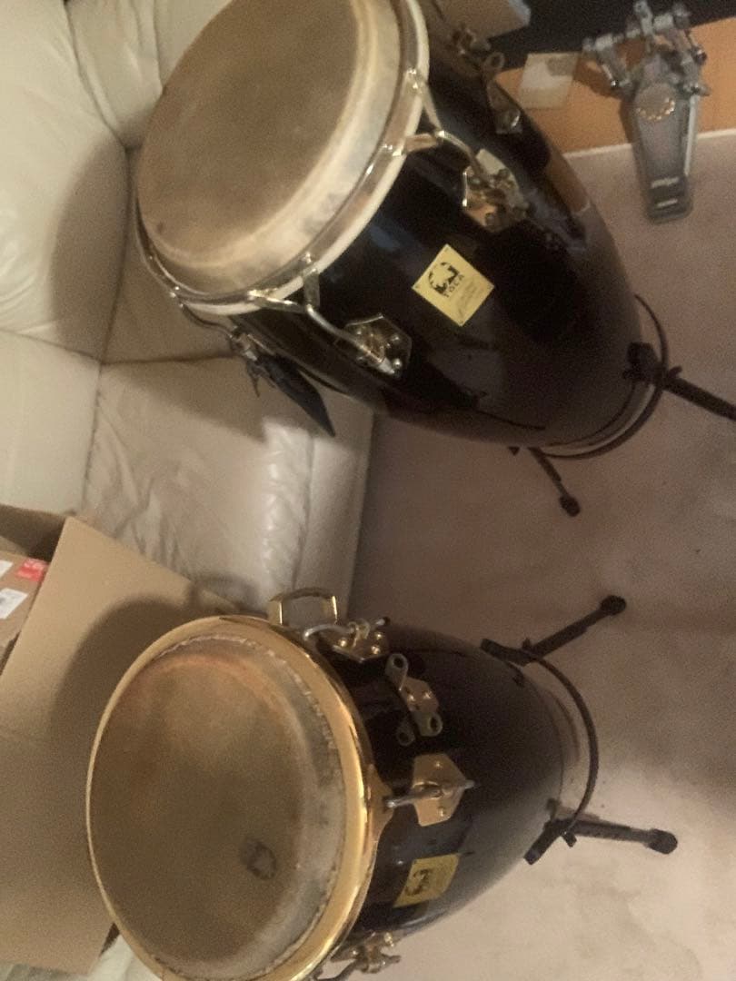 Toca Limited Editionコンガ／キント　マイネルスタンド