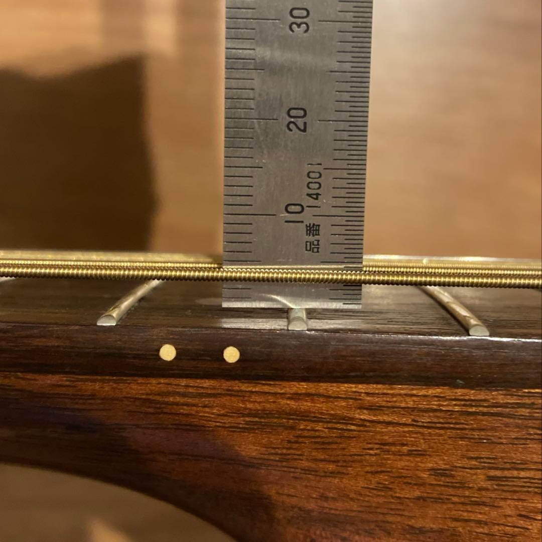 Martin DM RITTERケース Martin段ボール箱付　 訳あり