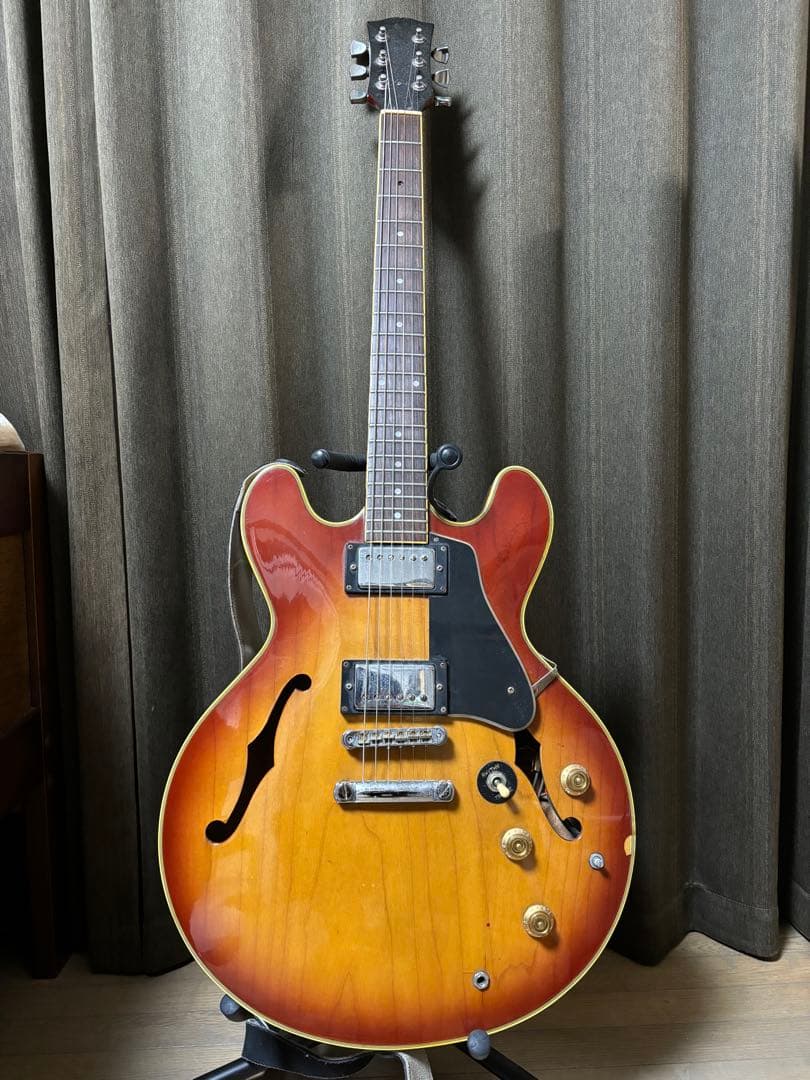 セミアコースティックギター