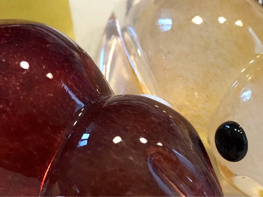 ガラスのホタルイカ