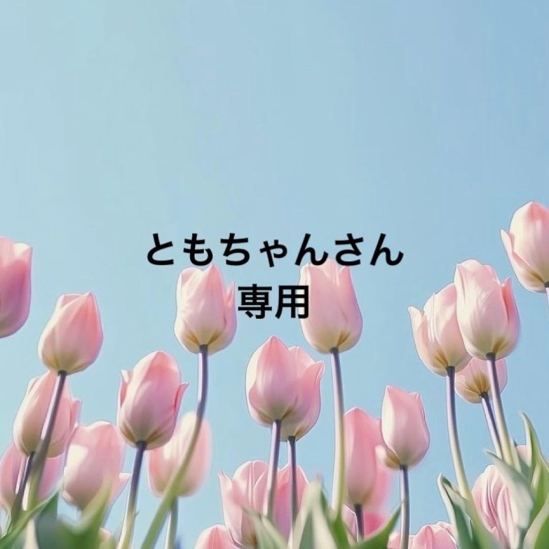 ともちゃんさん専用❤️3点❤️ドールチャーム❤️ハンドメイド❤️カントリードール