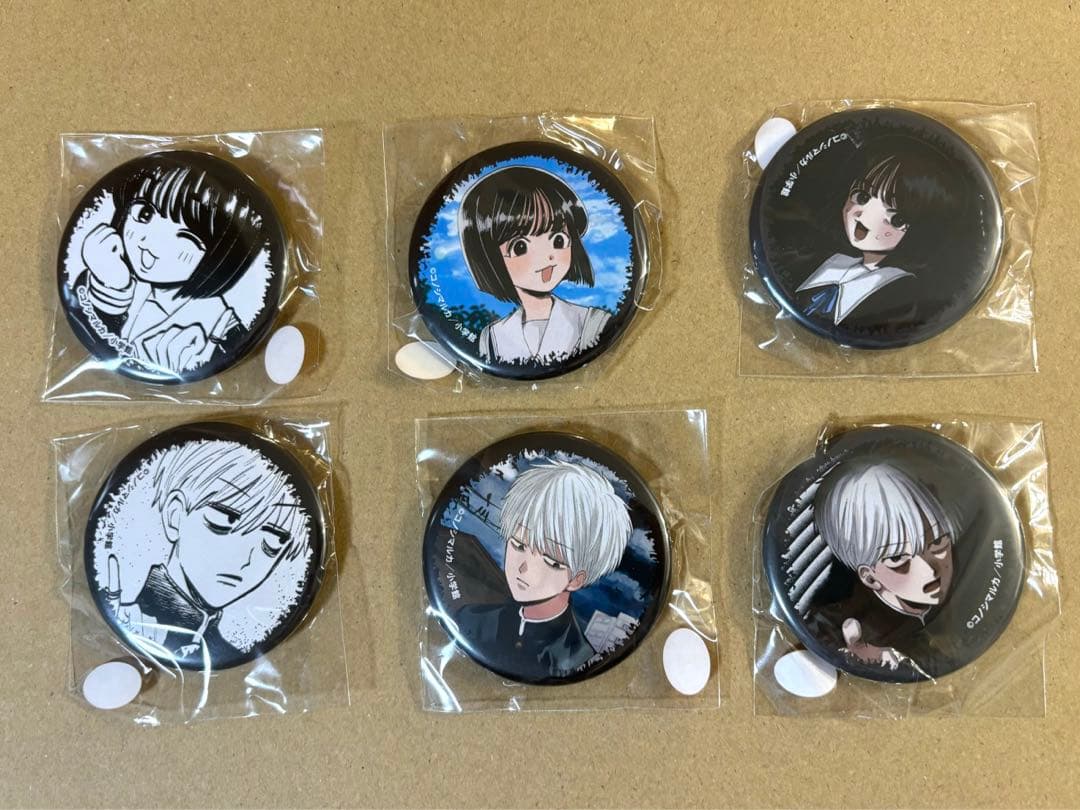 写らナイんです　くじプラ　缶バッジ　6点セット