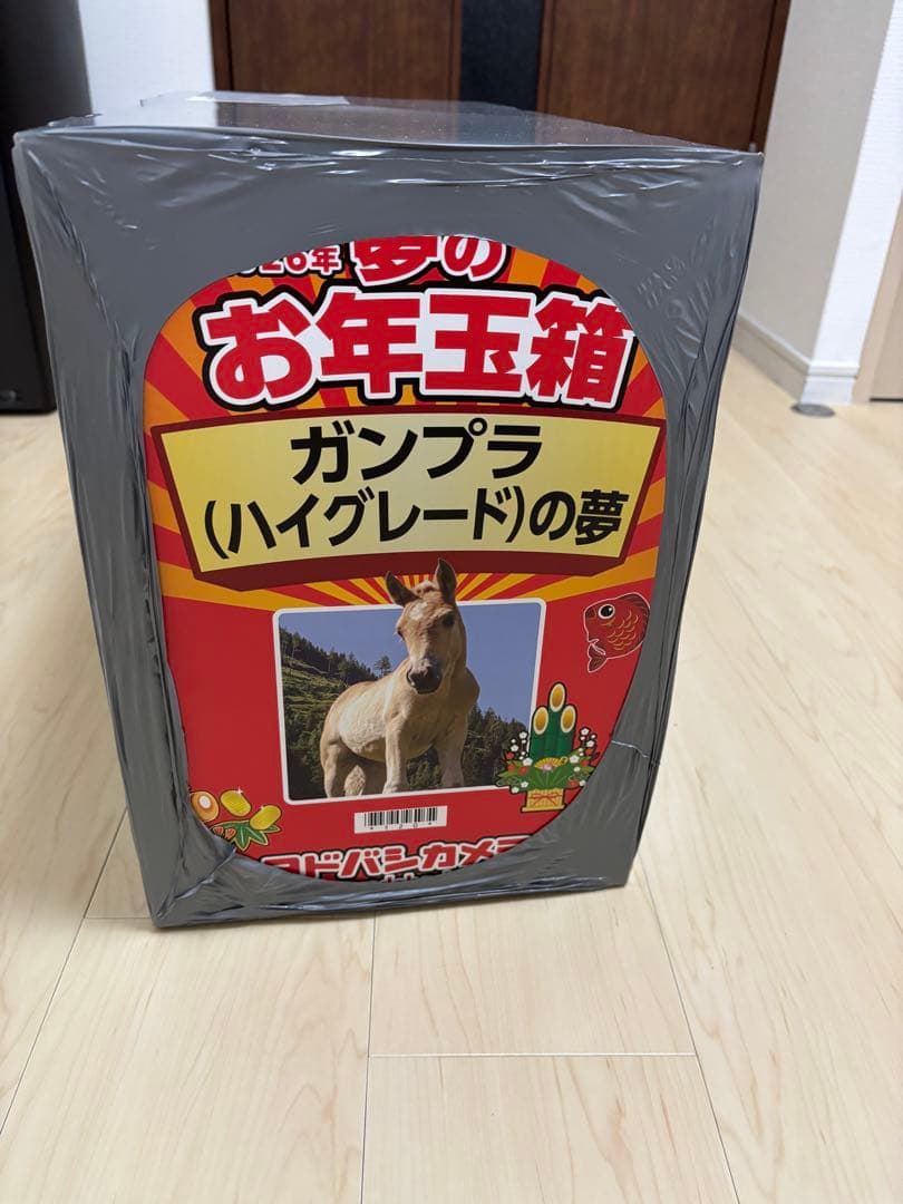 ヨドバシ ガンプラ (ハイグレード)の夢 未開封