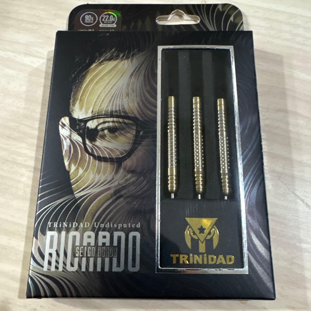 TRiNiDAD リカルド　浅田斉吾モデル　スティール