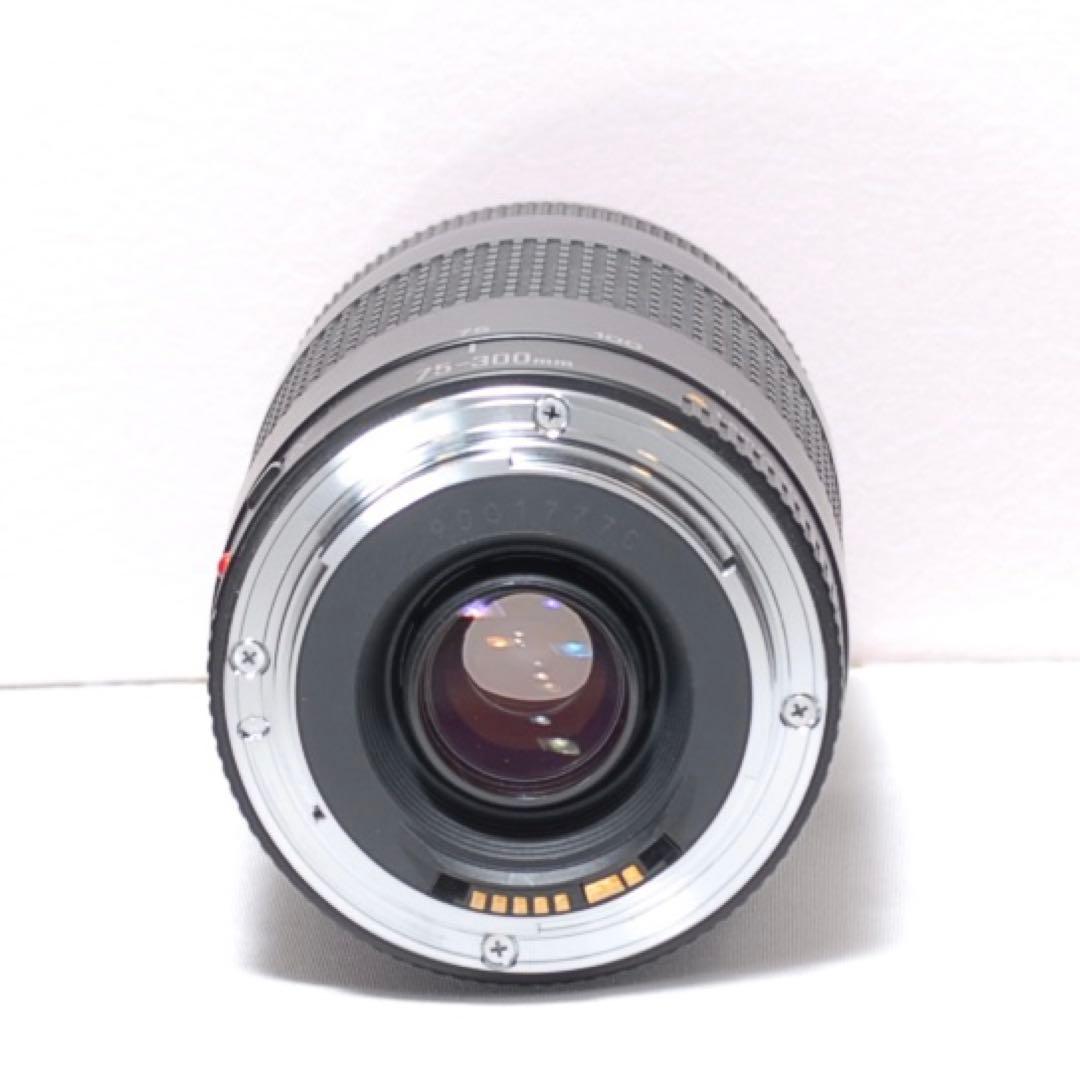 ✨超望遠レンズセット✨キャノン EOS 7D✨ 中級モデル✨高速連写機能✨