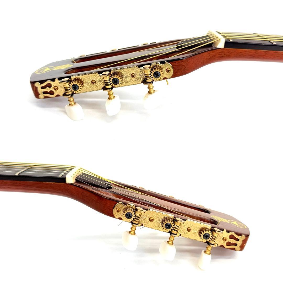 【希少】SAGA JAPAN BM500 Django Jazz Guitar