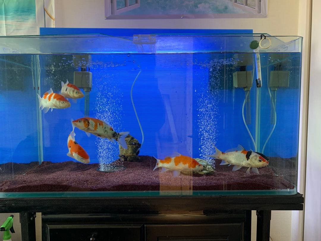 水槽コトブキ　90cm