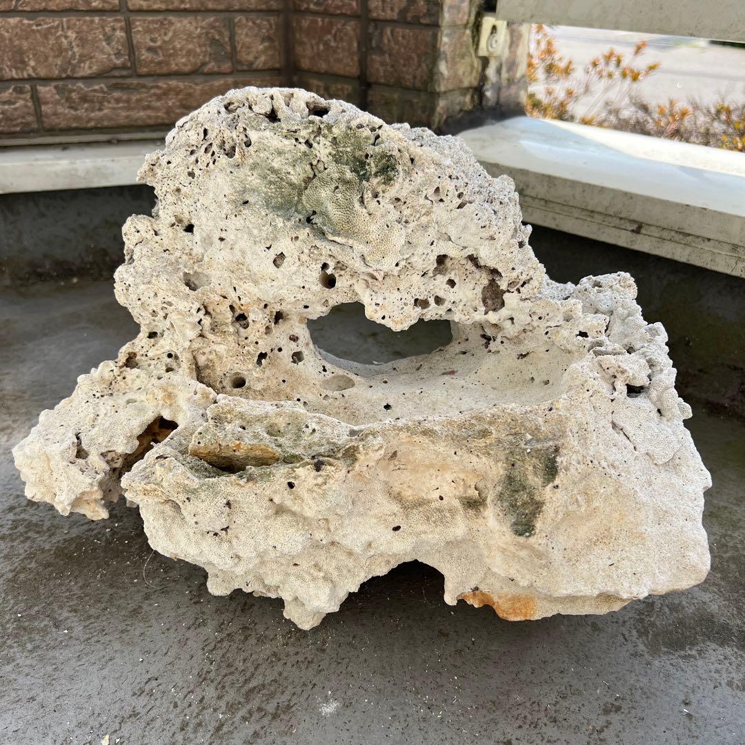 ライブロック　３個