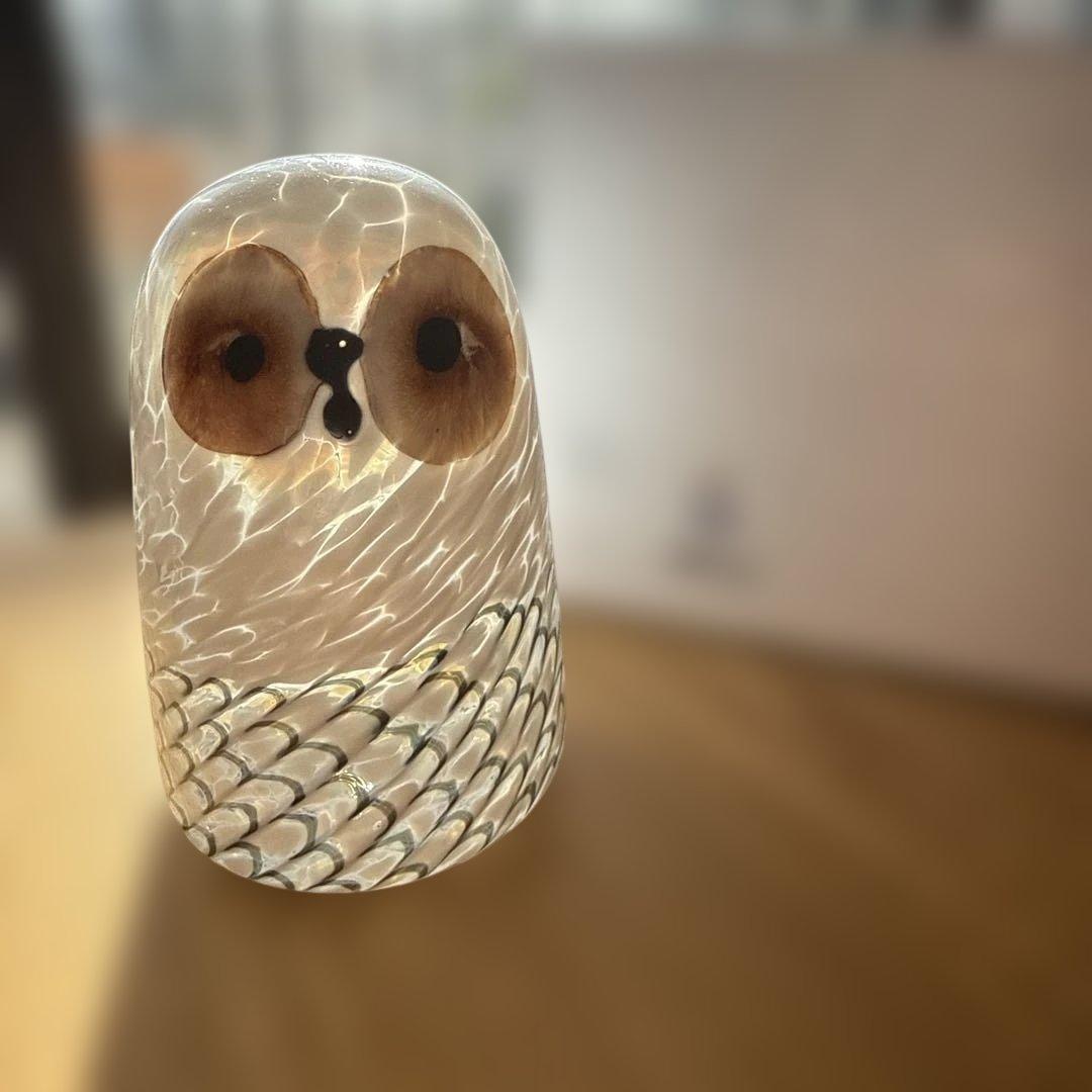  lumi ルミ　バード　owl フクロウ