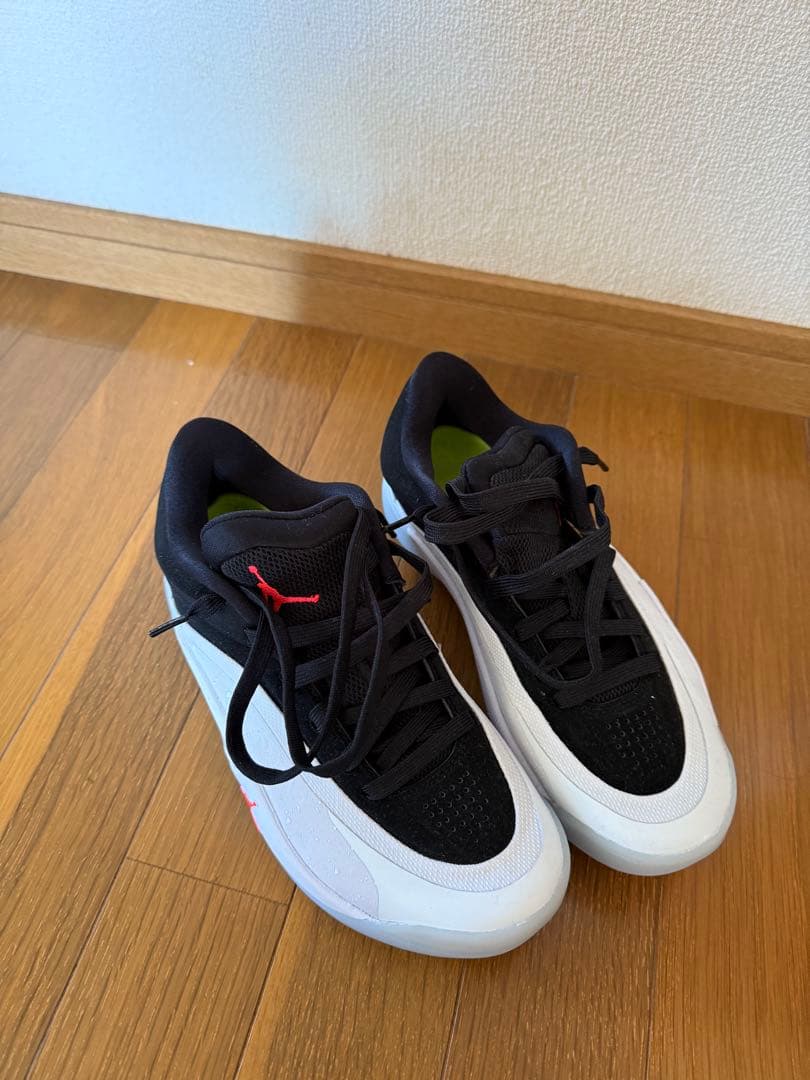 Jordan ZION4 NIKEバスケットボールシューズ　ザイオン4