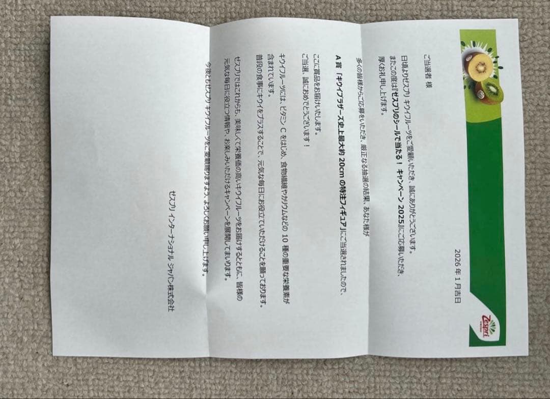 Zespri キウイ 特大フィギュアセット 新品