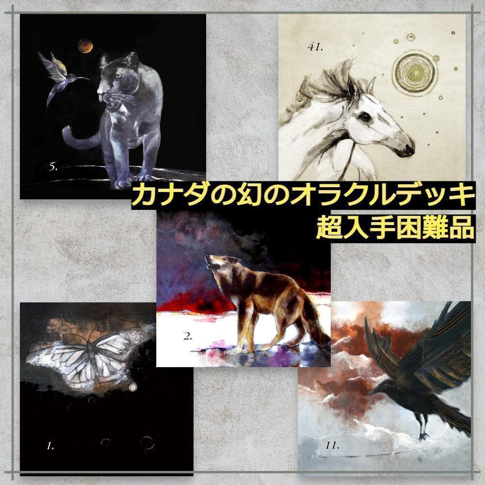 【正規品オラクルカード】激レア✨カナダのアーティスト作✨動物の精霊のデッキ