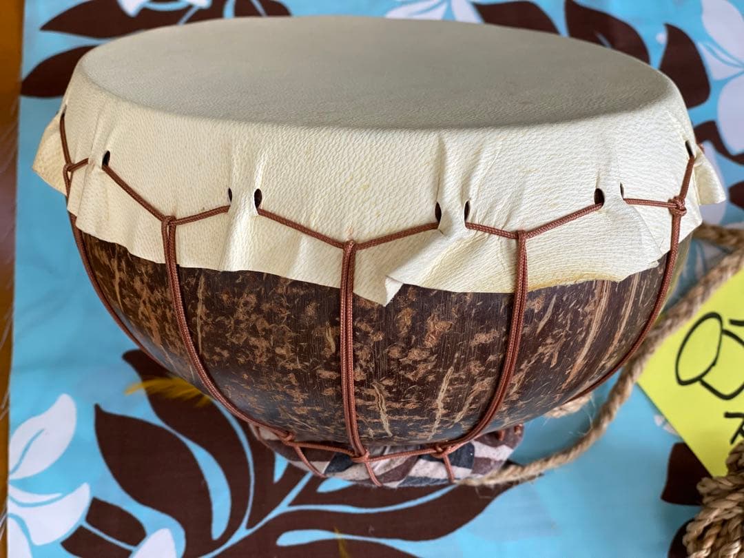 プニウ　ニードラム　美品　フラダンス　楽器 立派なプニウ　ハワイ楽器