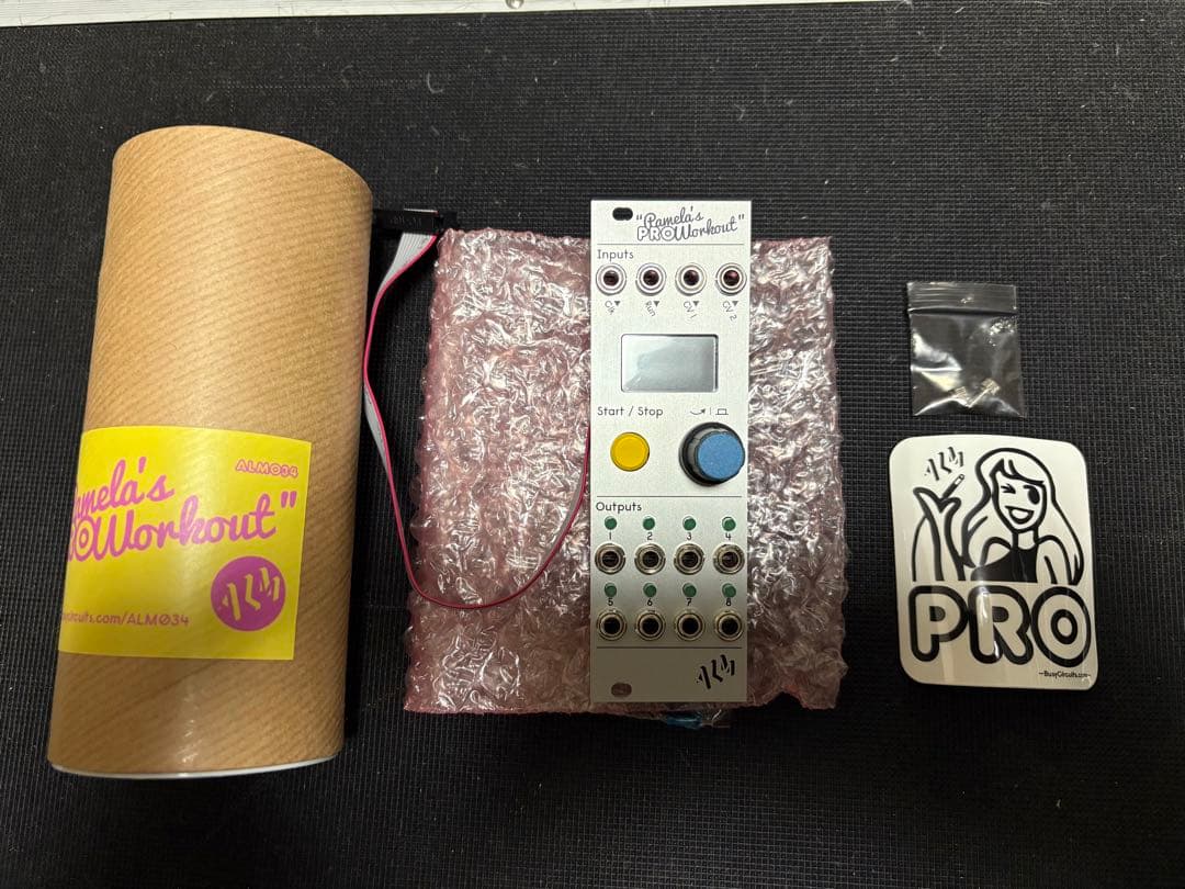 鍵盤楽器 ALM Busy Circuits/ Pamela's Pro Workout