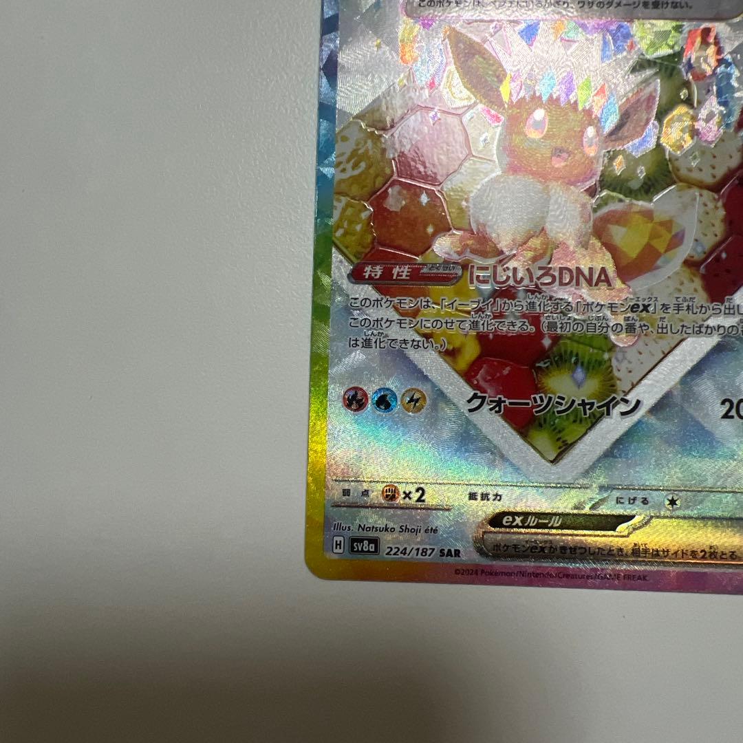 イーブイSAR2種類