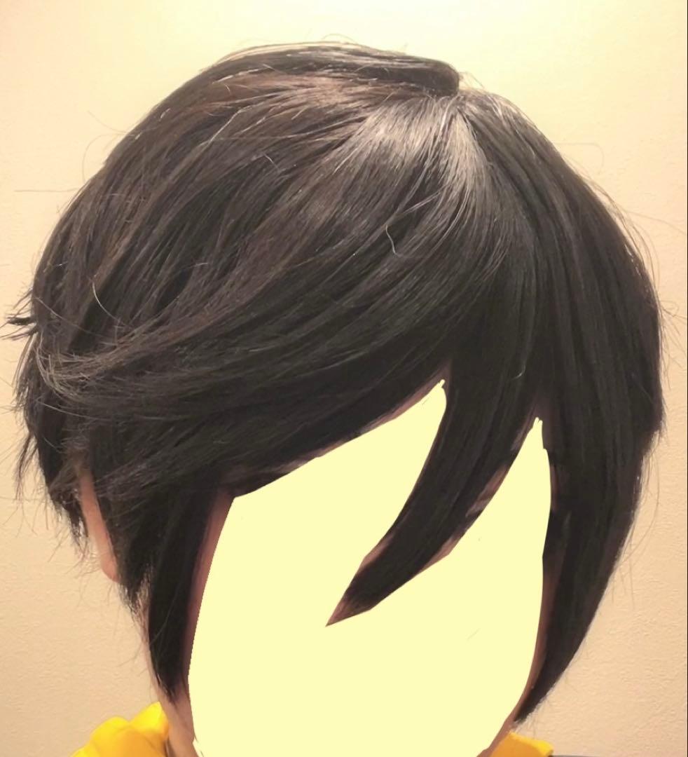 依真さん専用　最終値段下げ　ヒプマイ　山田三郎　コスプレ衣装＋ウィッグセット