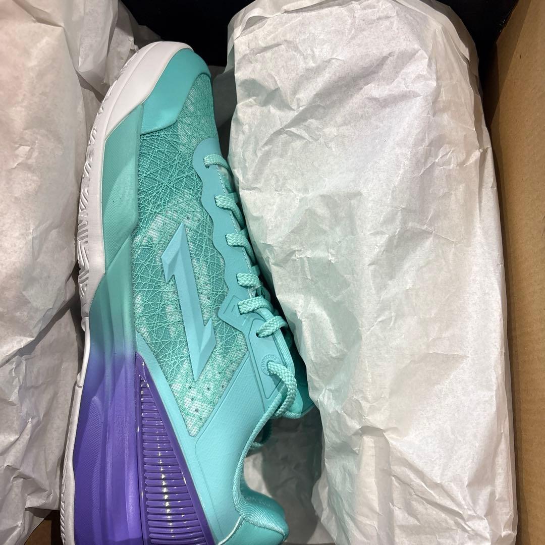 シューズ(男性用) EGOAWAKE2 EMERALD PURPLE