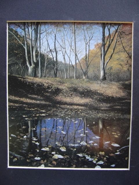 田中芳照、【落葉の池】、希少な画集画、新品高級額 額装付、状態良好