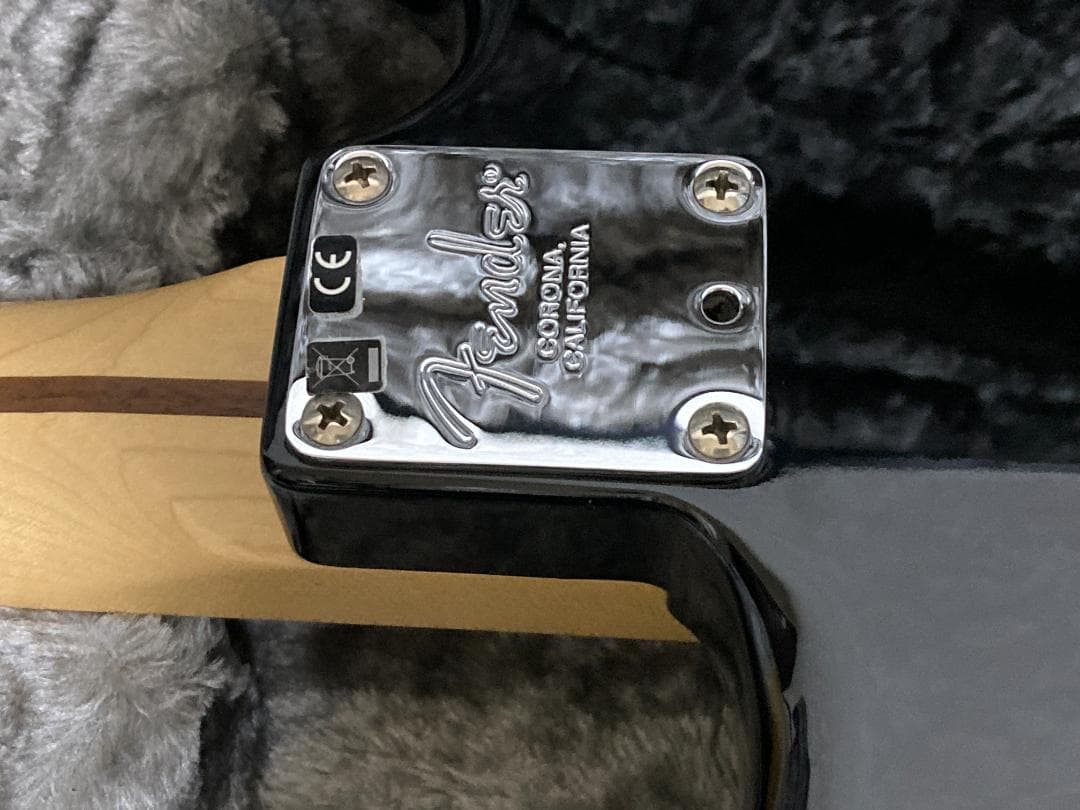 Fender American Professional Stratoメンテ済み