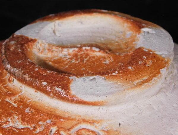 【茶道具　高橋　楽斎　信楽　平茶碗（共箱）／秀逸作品】