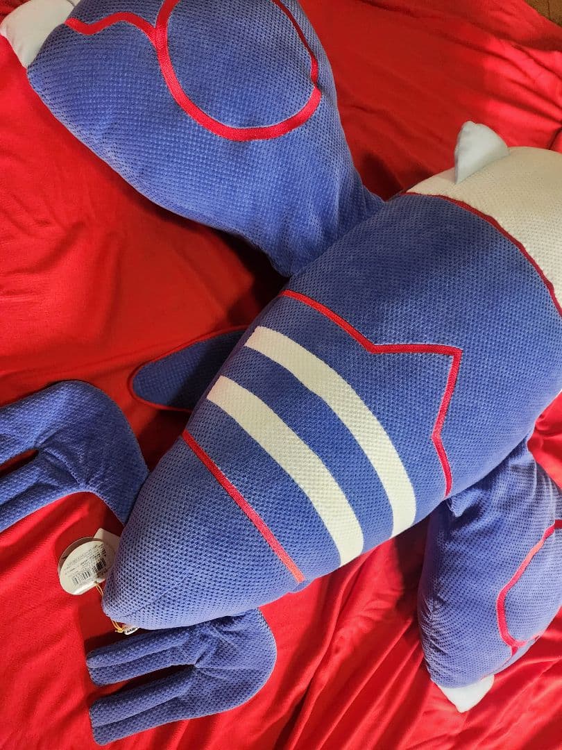 ポケモン　ハートランド　カイオーガ　ぬいぐるみ　ほーのぼ～の