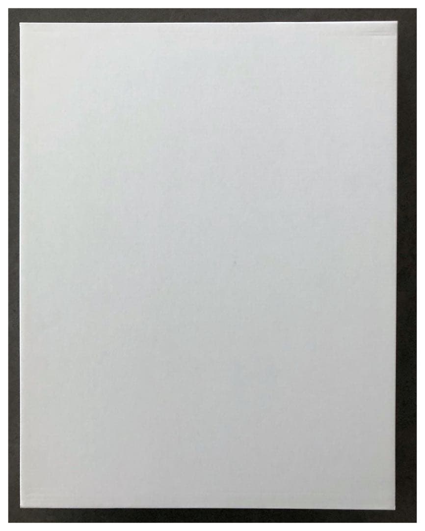 【新品未使用】ドラゴンボール　複製原画　完全版34巻表紙　超戦士集合