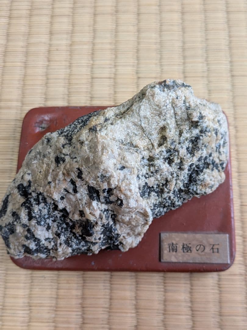 南極の石 コレクション用